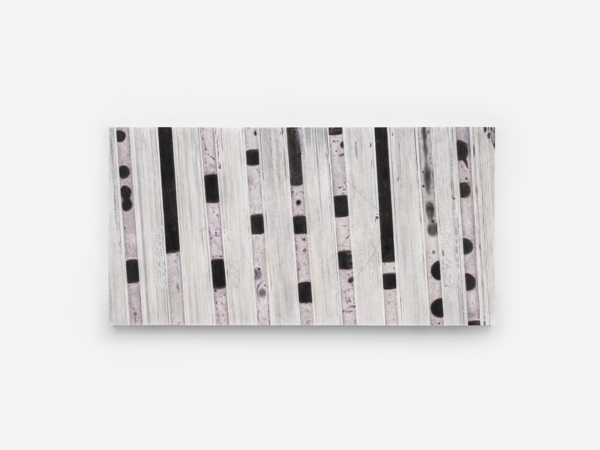 Elise Nguyen Quoc, <i>A Dynamic View of Sex Chromosome Evolution</i>, 2024. Pigment, charcoal on paper laminated on wood panel, 30 1/4 x 59 x 2 in (77 x 150 x 5 cm)